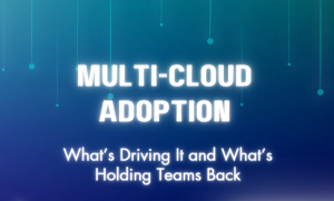 multi cloud adoption